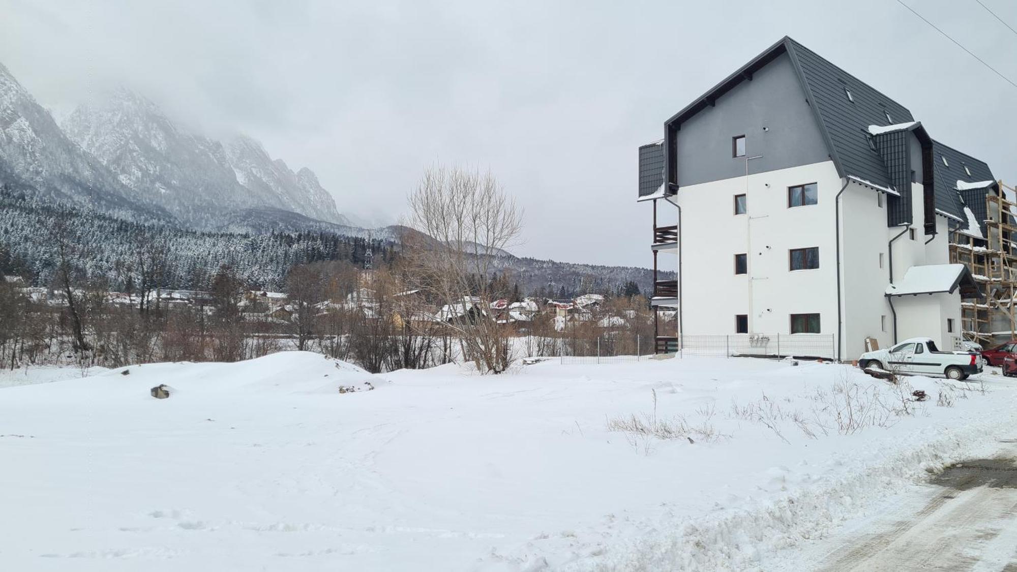 Cozy Riverfront Apartments With Garden And Mountain View Buşteni Dış mekan fotoğraf