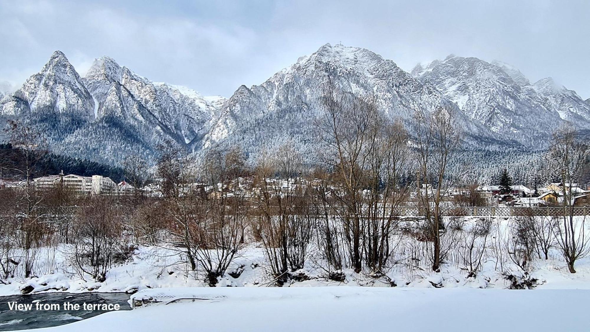 Cozy Riverfront Apartments With Garden And Mountain View Buşteni Dış mekan fotoğraf