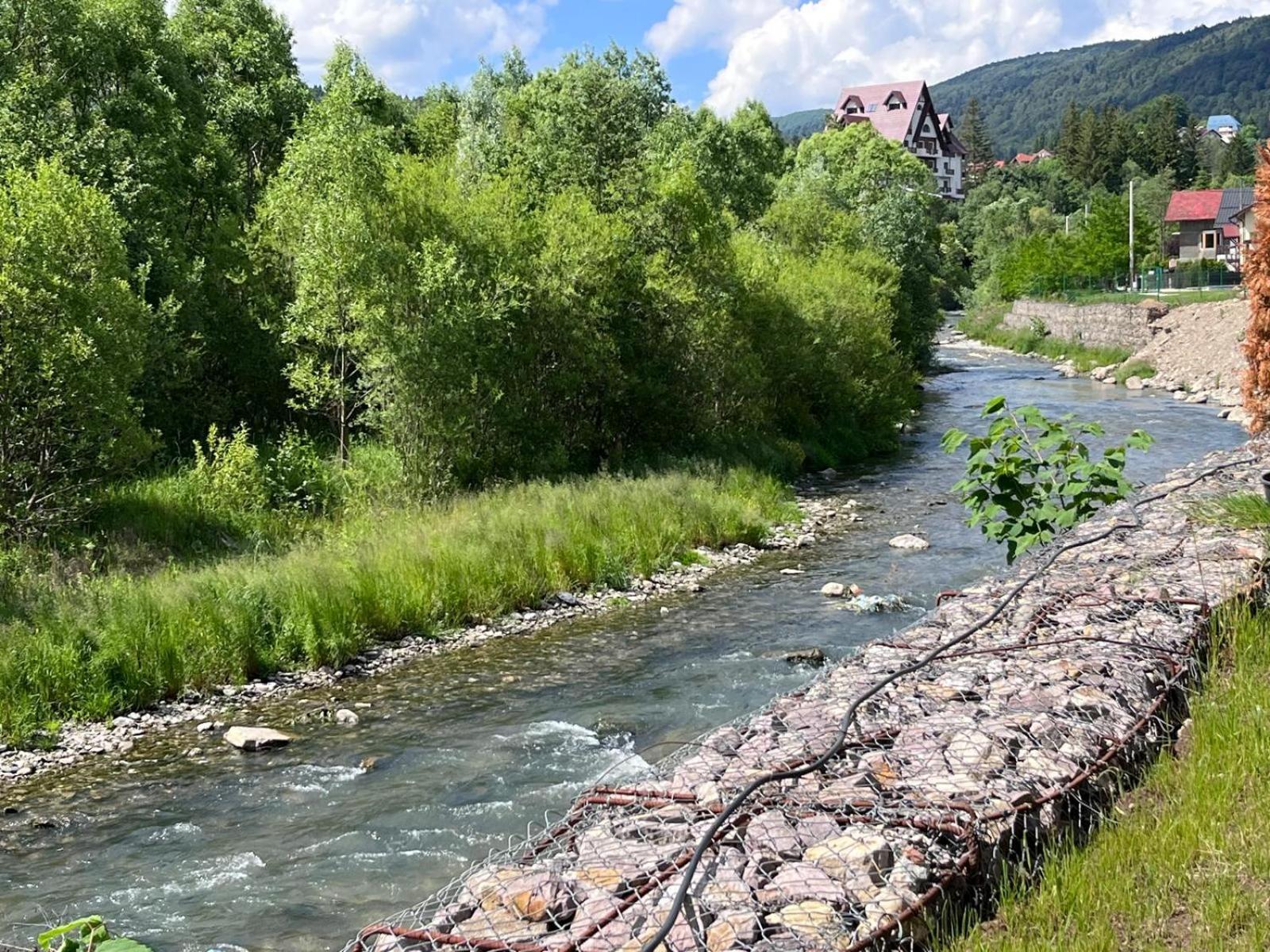 Cozy Riverfront Apartments With Garden And Mountain View Buşteni Dış mekan fotoğraf